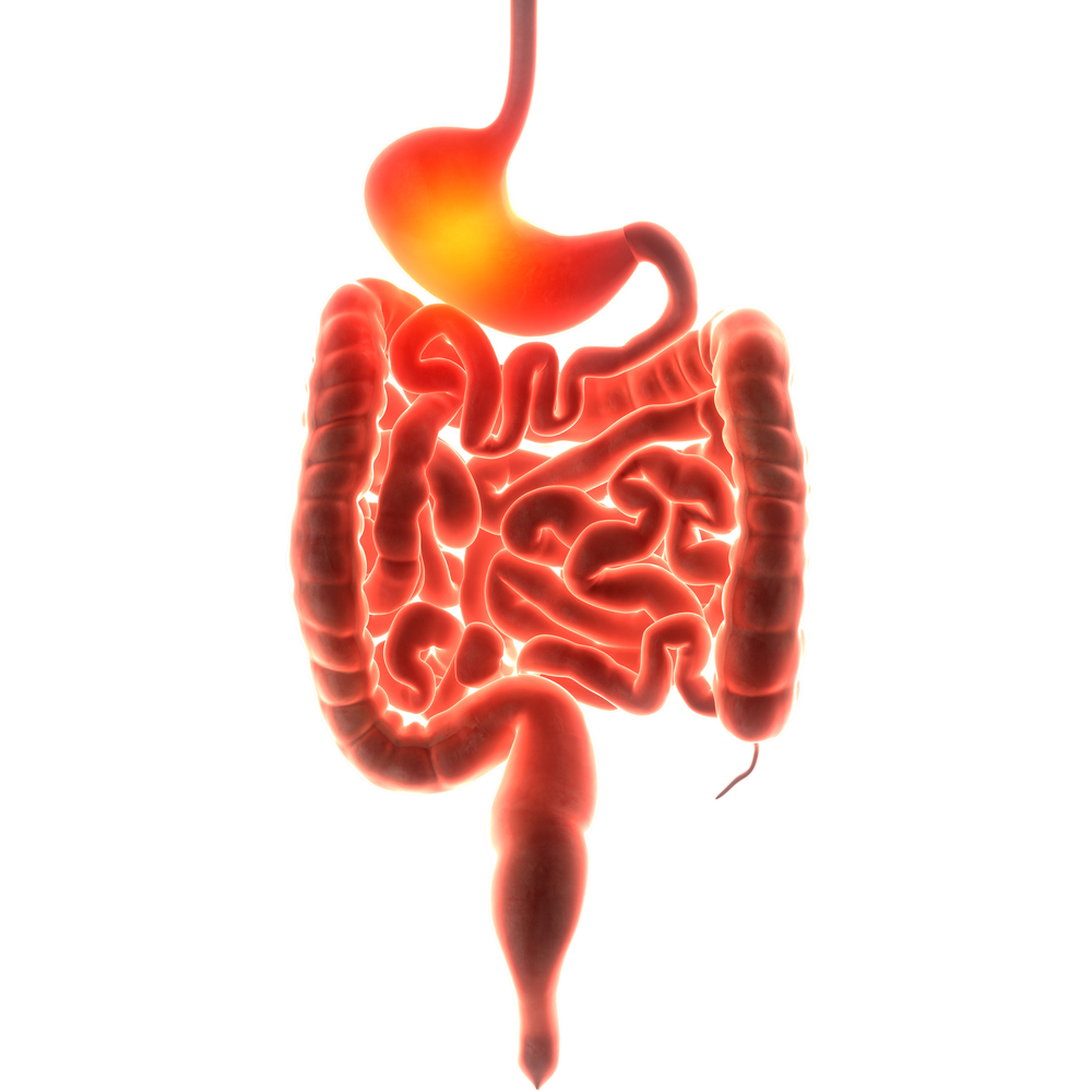 Leaky Gut Syndrome Treatment In Chula Vista